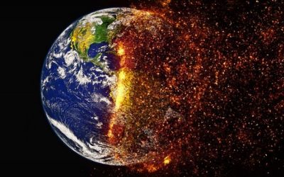 CNN airs explosive segment on meat and the planet