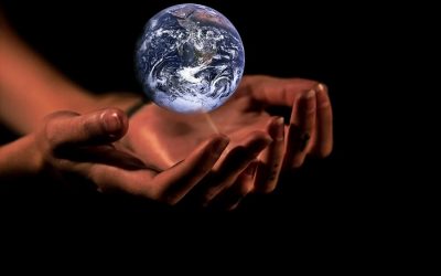 We must tackle biodiversity loss and climate change together, says UN