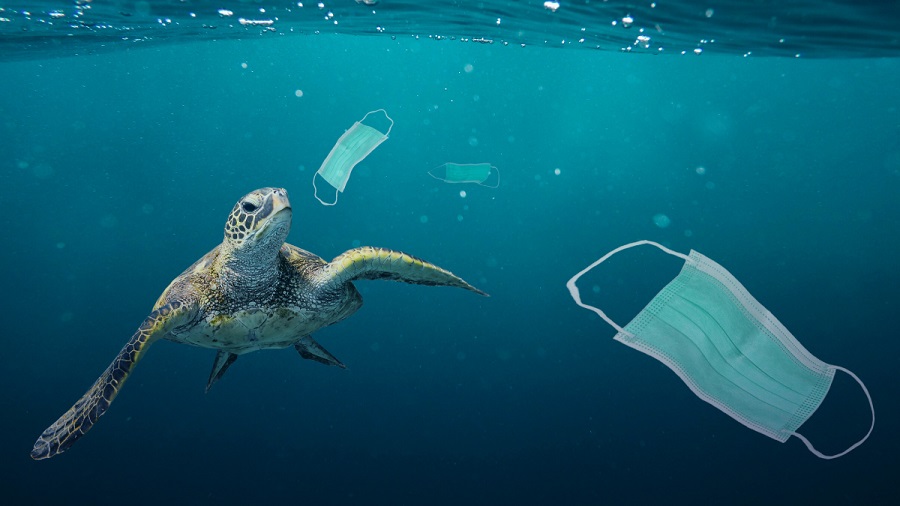 biodiversity and wildlife loss AACC