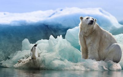WWF says mass species extinction could be around the corner