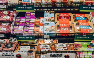 Government should fund sustainable meat alternatives for a sustainable future