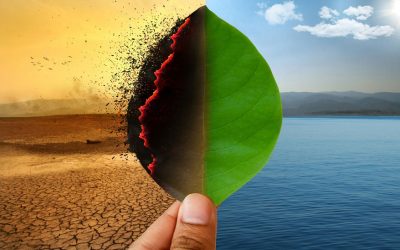 Global alliance could be game changer in fighting climate change