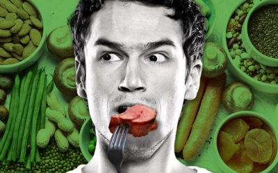 Your meat and dairy diet is causing environmental disaster