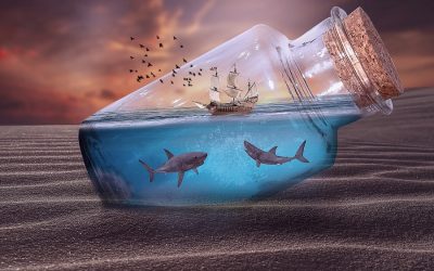 Save the sharks – here’s how sharks help fight climate change