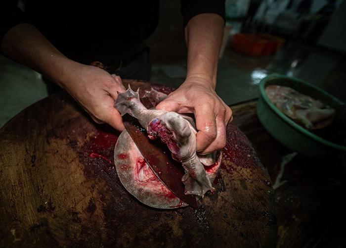 FishMarketTaipei Taiwan JMcArthur 20190118 4471