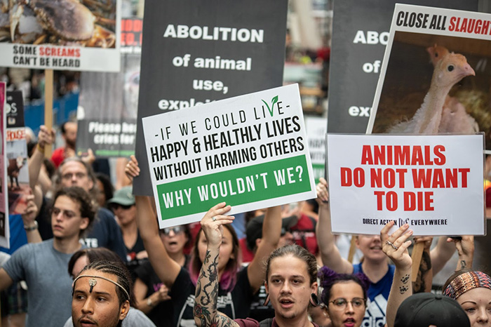 MarchToCloseAllSlaughterhousesToronto ON Canada JMcArthur 20180825 6969