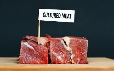 Can cultured meat save us from our deeply disturbing animal agriculture industry?