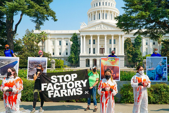 jorge maya RCoerxgXJoA unsplash