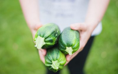 UN to host summit to address unsustainable food-systems