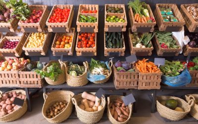 Researchers around the world agree on beneficial aspects of a plant-based diet