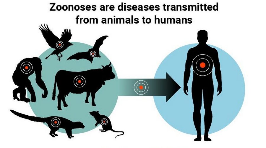 zoonotic diseases 5 Copy