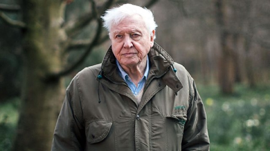 Sir David Attenborough AACC
