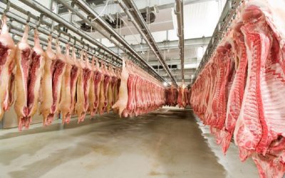 Government meat subsidies must end