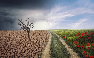 How much does COP26 really help?