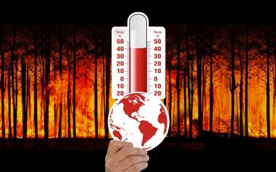 World headed for 2.4C warming despite climate summit