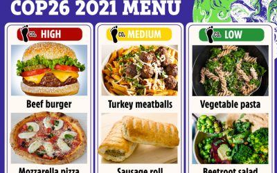COP26 called out for serving meat and dairy