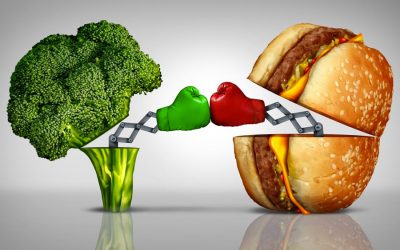 We need to end animal agriculture to meet COP26 climate pledges