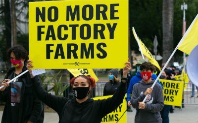 Resolution against animal agriculture passed in San Francisco