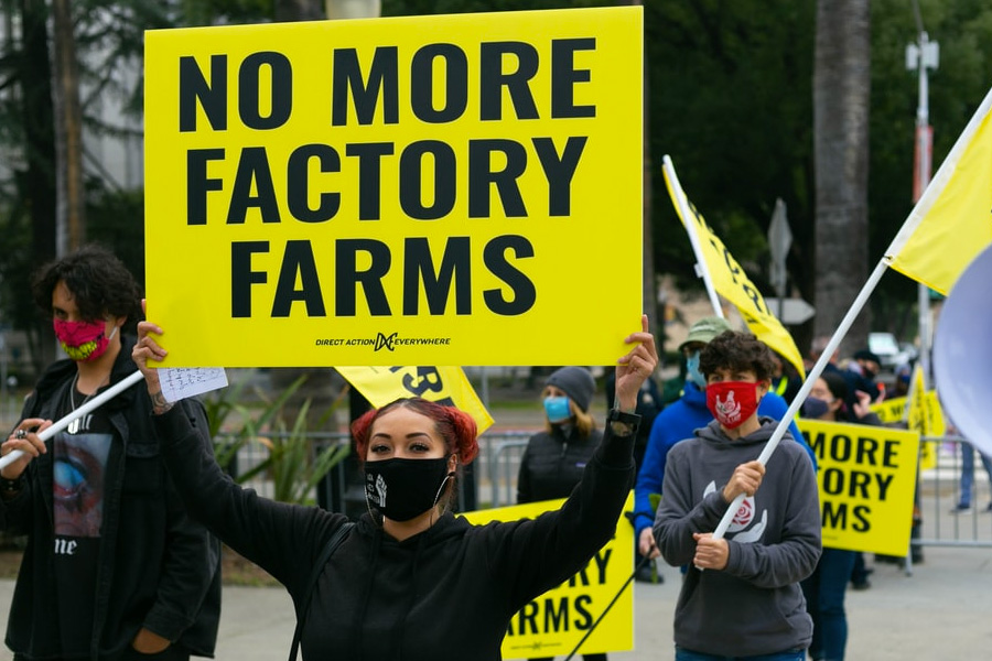 Resolution against animal agriculture passed in San Francisco