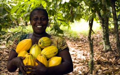 Post-COP26 coalitions that are tackling food systems head on