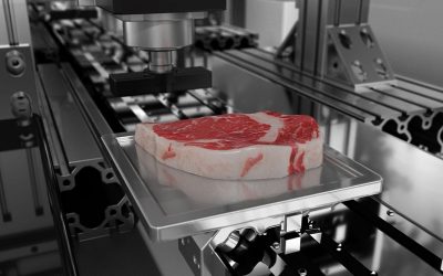 MeaTech unveils world’s largest lab grown steak