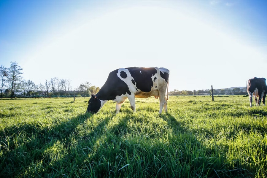 news in agriculture