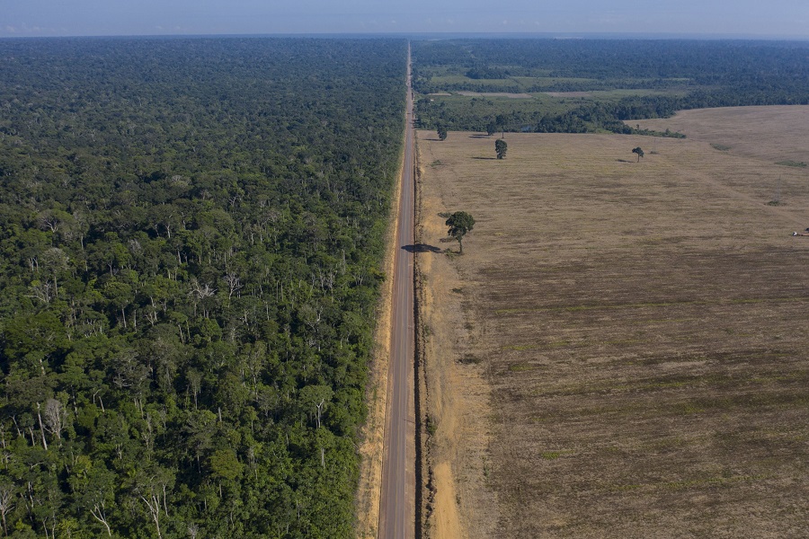 deforestation in amazon aacc
