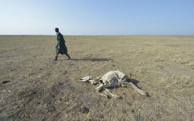 Opportunity for a liveable future rapidly closing for billions of people