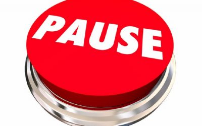 Push PAUSE on climate change by adopting a sustainable vegan diet!
