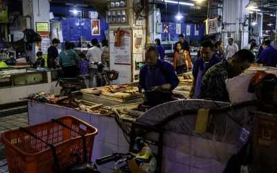 Wuhan’s seafood market may be responsible for COVID-19