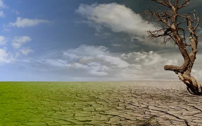 What does the IPCC’s third report say?