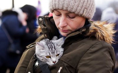 ukrainian pets aacc