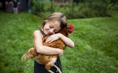 Children don’t see animals as food, says research