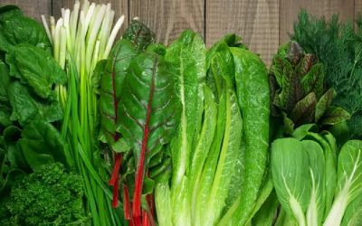 Eating green, leafy vegetables can lower risk of dementia