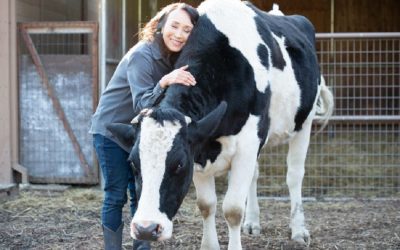 Miyoko’s Creamery helps dairy farmers go green