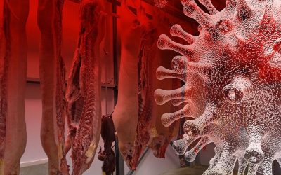 Store bought meat products could carry coronavirus