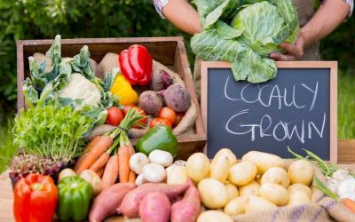 Eat local produce and save the planet, says new research