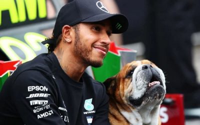 Lewis Hamilton says a vegan diet has improved Roscoe’ s health