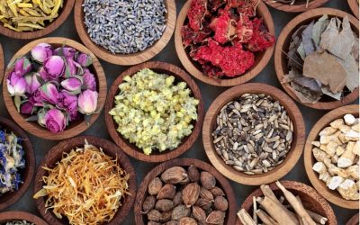 The healing power of adaptogens in plants