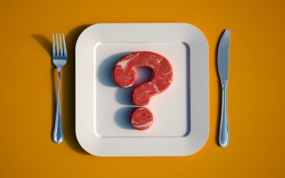 Meat made from seaweed, is it possible?