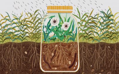 How the meat industry encourages the use of toxic pesticides