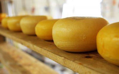 The link between cheese and climate change
