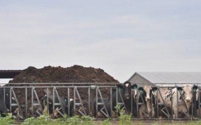 Cow manure is not an environmentally-friendly coal alternative