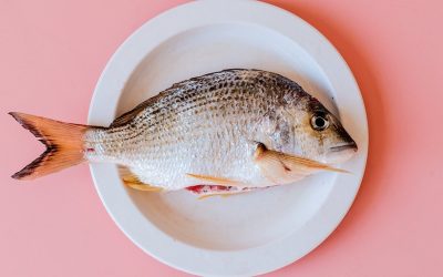 Researchers find link between fish consumption and cancer