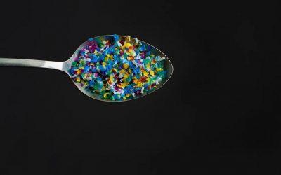 Scientists find microplastics in meat and dairy