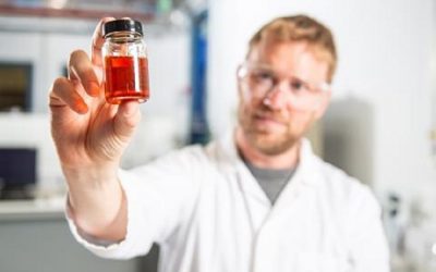 UK start-up is making sustainable palm oil in a lab