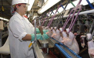 Poultry plants furious after being told to reduce line speed