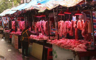 Is Wuhan wet-market back in business?