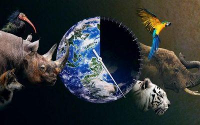 WWF report reveals dismal future for wildlife
