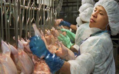 Animal agriculture industry violates worker’s rights and puts lives at risk